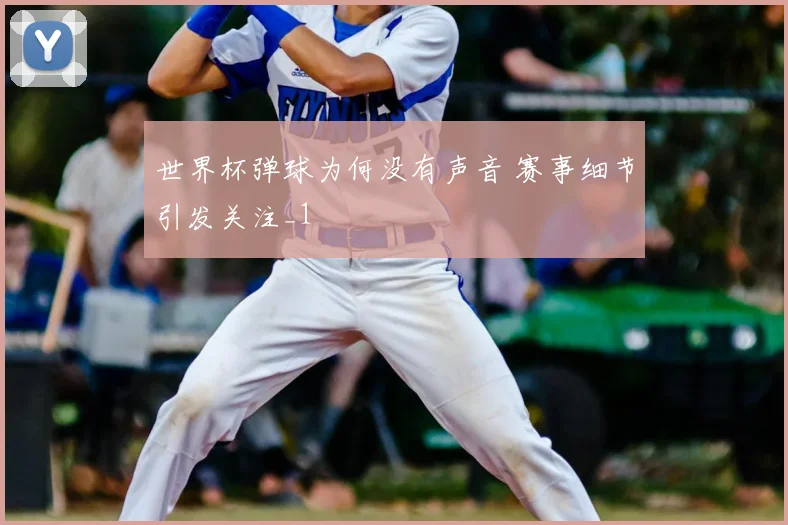世界杯弹球为何没有声音 赛事细节引发关注_1