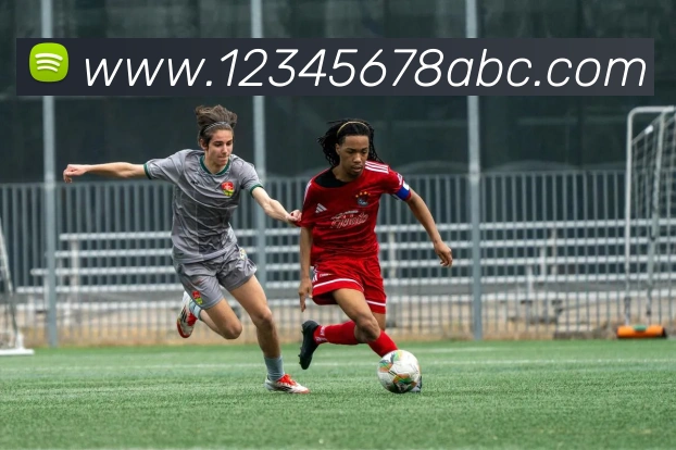 完美体育官网服务体系